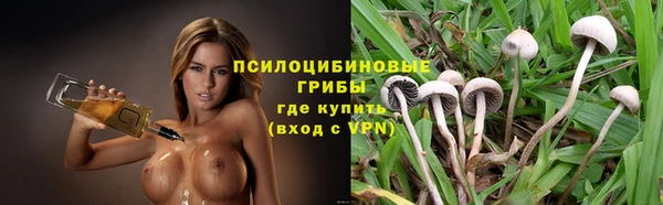 Альфа ПВП Кукмор