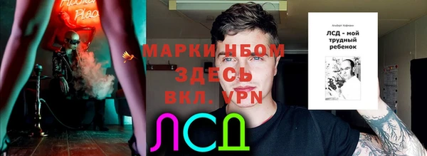 Альфа ПВП Кукмор