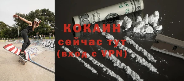 шишки Краснотурьинск