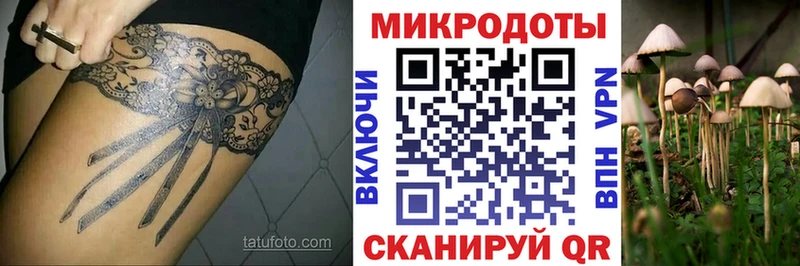 Псилоцибиновые грибы Psilocybine cubensis  Печоры 